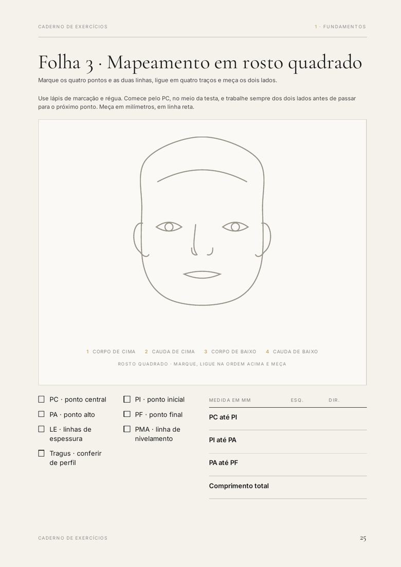 Folha 3 do Caderno de Exercícios